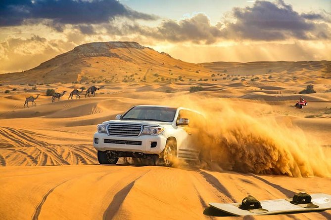 Desert & Safari Tours