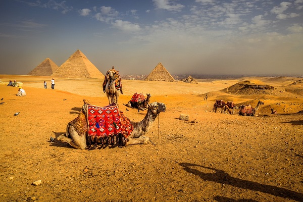 Tailor-Made Tours