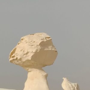Natural Treasures of the Egyptian Deserts
