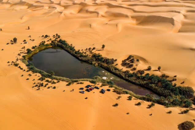​Siwa Oasis Full-Day Tour